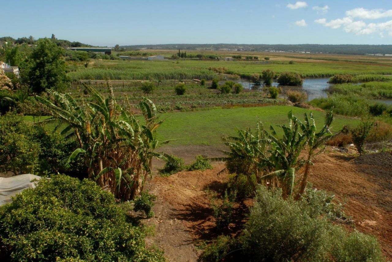 Pueblos Blancos Vejer de la Frontera Eksteriør billede