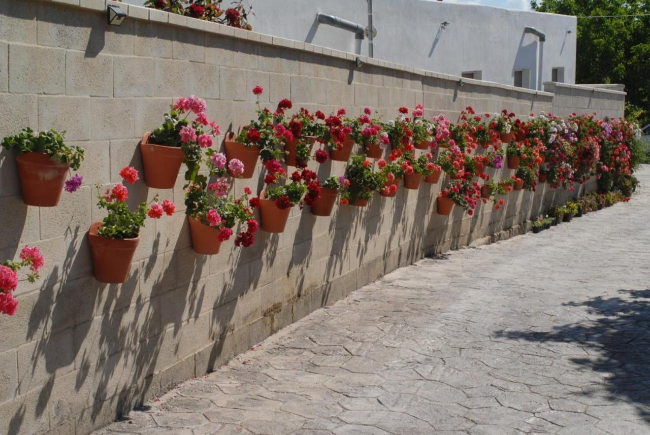 Pueblos Blancos Vejer de la Frontera Eksteriør billede